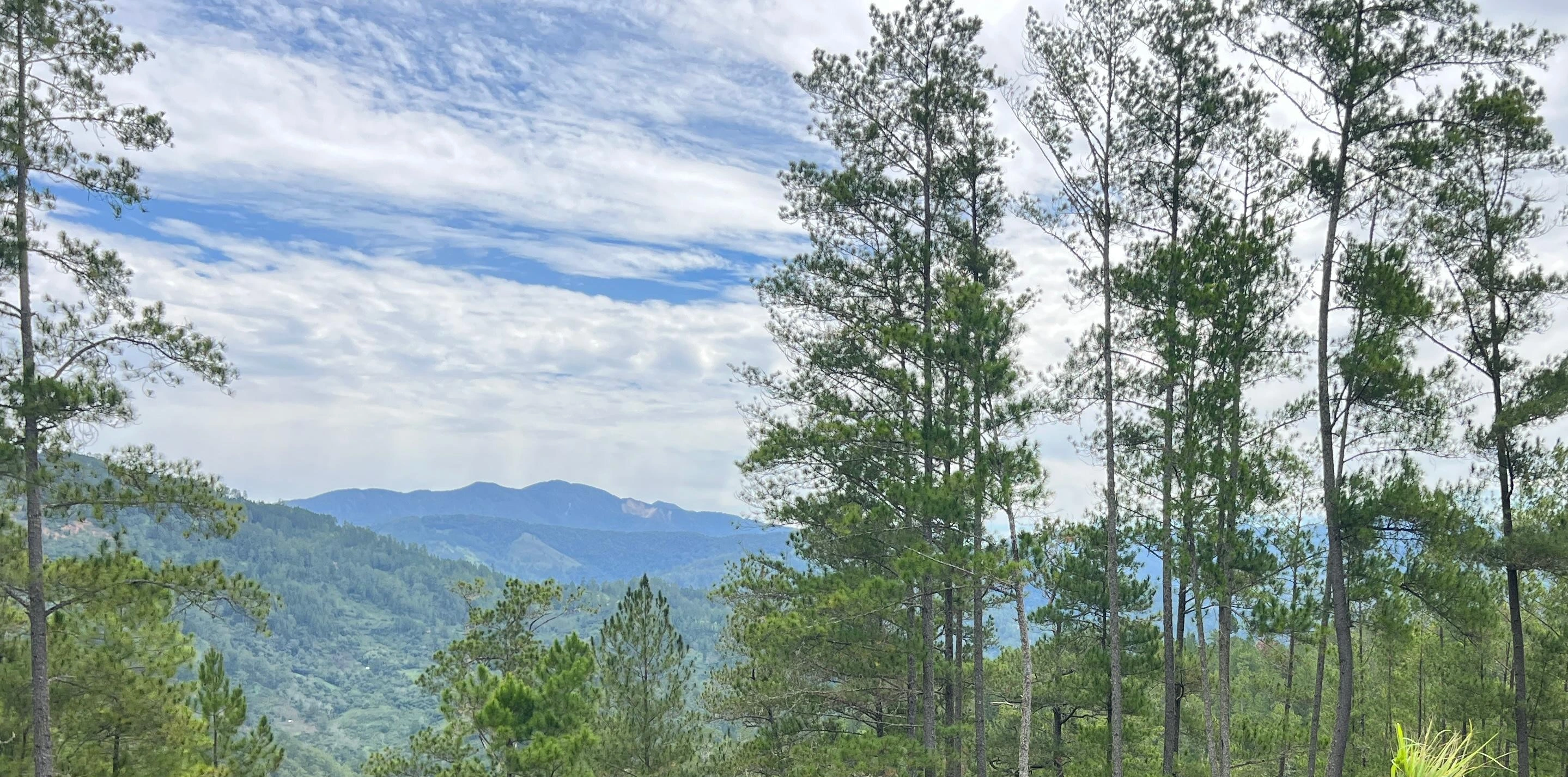 Gunung dengan kabut